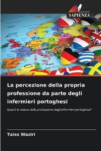 La percezione della propria professione da parte degli infermieri portoghesi