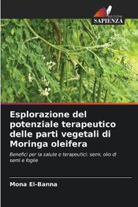 Esplorazione del potenziale terapeutico delle parti vegetali di Moringa oleifera