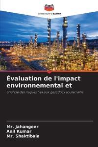 Évaluation de l'impact environnemental et