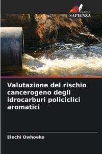 Valutazione del rischio cancerogeno degli idrocarburi policiclici aromatici