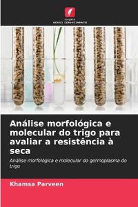 Análise morfológica e molecular do trigo para avaliar a resistência à seca