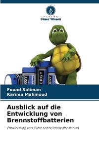 Ausblick auf die Entwicklung von Brennstoffbatterien