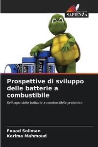 Prospettive di sviluppo delle batterie a combustibile
