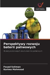 Perspektywy rozwoju baterii paliwowych