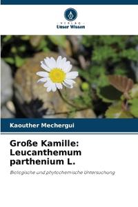Große Kamille: Leucanthemum parthenium L.