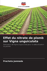 Effet du nitrate de plomb sur Vigna unguiculata