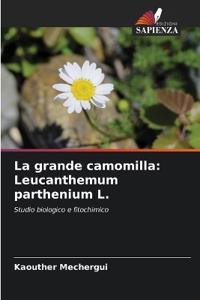 La grande camomilla