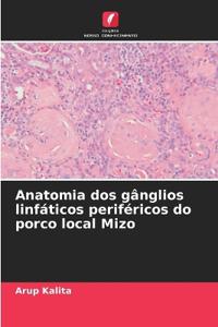 Anatomia dos gânglios linfáticos periféricos do porco local Mizo