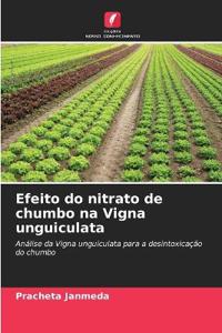 Efeito do nitrato de chumbo na Vigna unguiculata