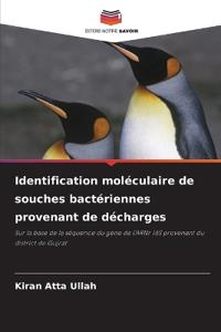Identification moléculaire de souches bactériennes provenant de décharges