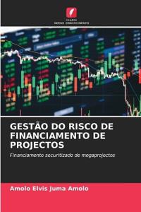 Gestão Do Risco de Financiamento de Projectos