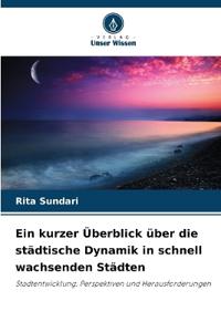 Ein kurzer Überblick über die städtische Dynamik in schnell wachsenden Städten