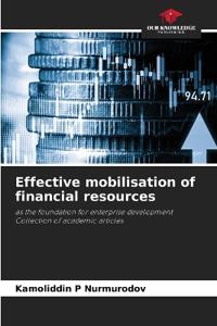 Effective mobilisation of financial resources