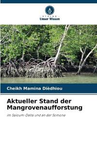 Aktueller Stand der Mangrovenaufforstung