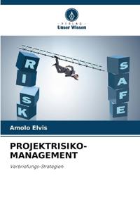 Projektrisiko-Management