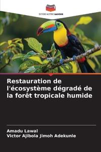 Restauration de l'écosystème dégradé de la forêt tropicale humide