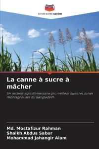 La canne à sucre à mâcher