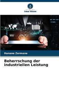 Beherrschung der industriellen Leistung
