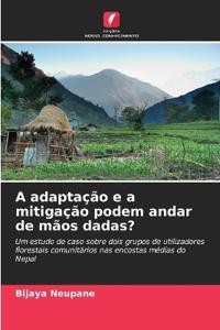 A adaptação e a mitigação podem andar de mãos dadas?