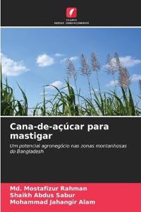 Cana-de-açúcar para mastigar