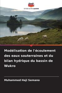 Modélisation de l'écoulement des eaux souterraines et du bilan hydrique du bassin de Wukro