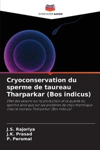 Cryoconservation du sperme de taureau Tharparkar (Bos indicus)