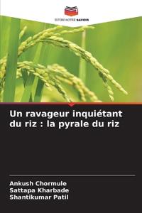 Un ravageur inquiétant du riz : la pyrale du riz