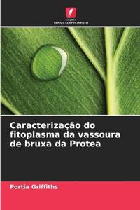Caracterização do fitoplasma da vassoura de bruxa da Protea