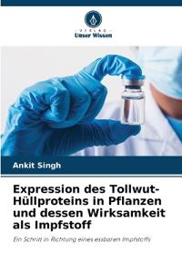 Expression des Tollwut-Hüllproteins in Pflanzen und dessen Wirksamkeit als Impfstoff