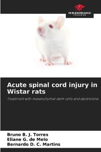 Acute spinal cord injury in Wistar rats