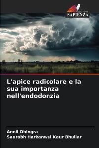 L'apice radicolare e la sua importanza nell'endodonzia
