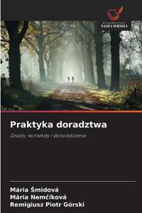 Praktyka doradztwa