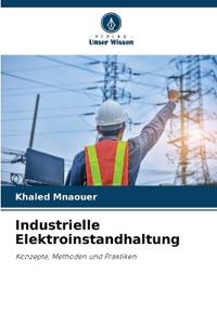 Industrielle Elektroinstandhaltung