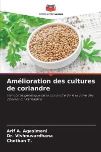 Amélioration des cultures de coriandre