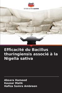 Efficacité du Bacillus thuringiensis associé à la Nigella sativa