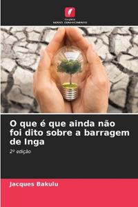 O que é que ainda não foi dito sobre a barragem de Inga