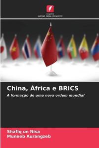 China, África e BRICS