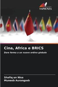 Cina, Africa e BRICS
