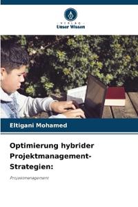 Optimierung hybrider Projektmanagement-Strategien: