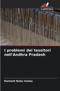 I problemi dei tessitori nell'Andhra Pradesh