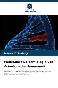 Molekulare Epidemiologie von Acinetobacter baumannii