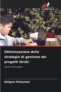 Ottimizzazione delle strategie di gestione dei progetti ibridi