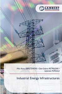 Industrial Energy Infrastructures