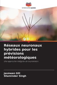 Réseaux neuronaux hybrides pour les prévisions météorologiques