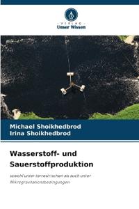 Wasserstoff- und Sauerstoffproduktion