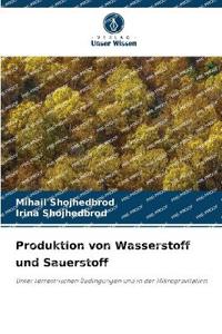 Produktion von Wasserstoff und Sauerstoff