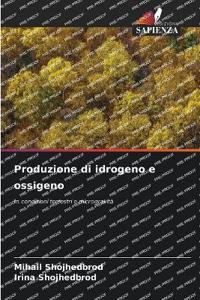 Produzione di idrogeno e ossigeno