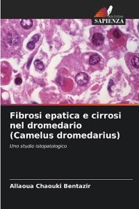 Fibrosi epatica e cirrosi nel dromedario (Camelus dromedarius)