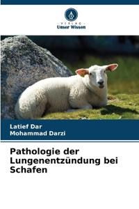 Pathologie der Lungenentzündung bei Schafen