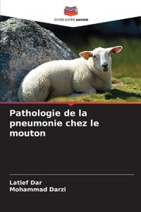 Pathologie de la pneumonie chez le mouton